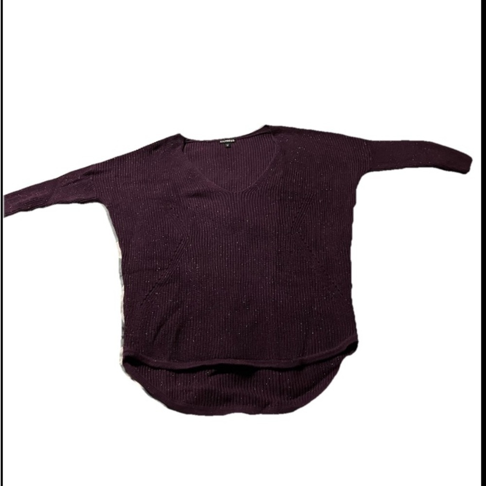 Express Purple V-Neck Sweater